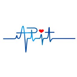 APIT Ambulantes-Pflege-Intensiv-Team GmbH